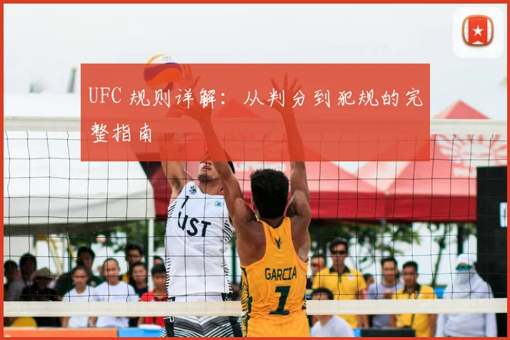 UFC 规则详解:从判分到犯规的完整指南
